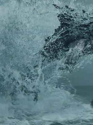 陆行鲨你拿鲨鱼做实验可鲨鱼却偏偏拿你当晚餐 陆行鲨