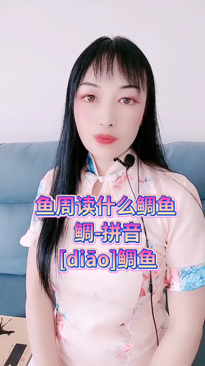 鱼周读什么鲷鱼 