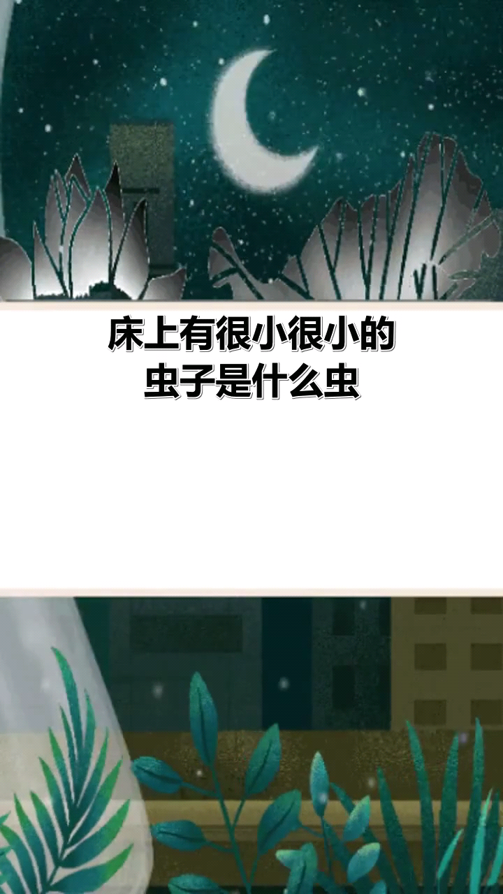 床上有很小很小的虫子是什么虫