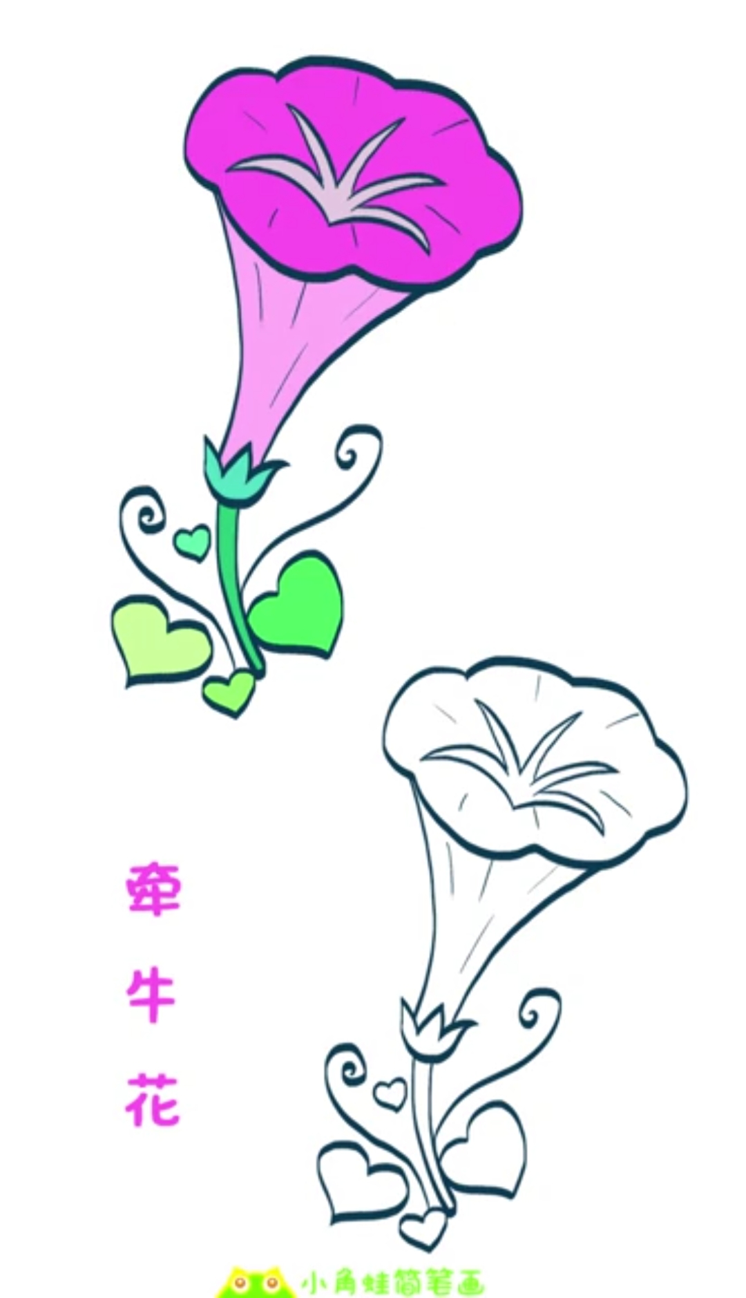 #简笔画#简笔画大全,牵牛花