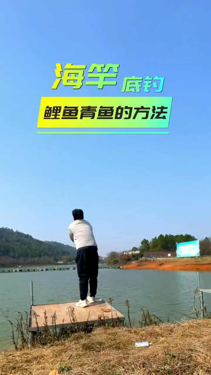 海竿底钓大鲤鱼大青鱼的方法