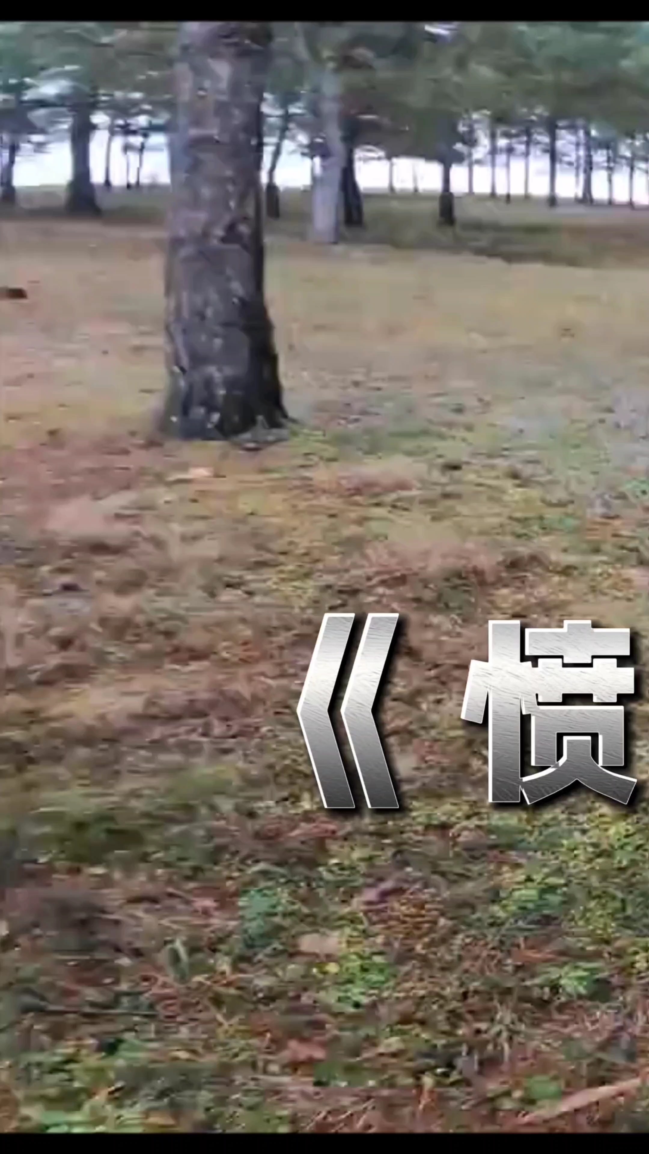 如果你因为玩游戏被愤怒的父亲暴揍?第一视角带你跑酷逃离!