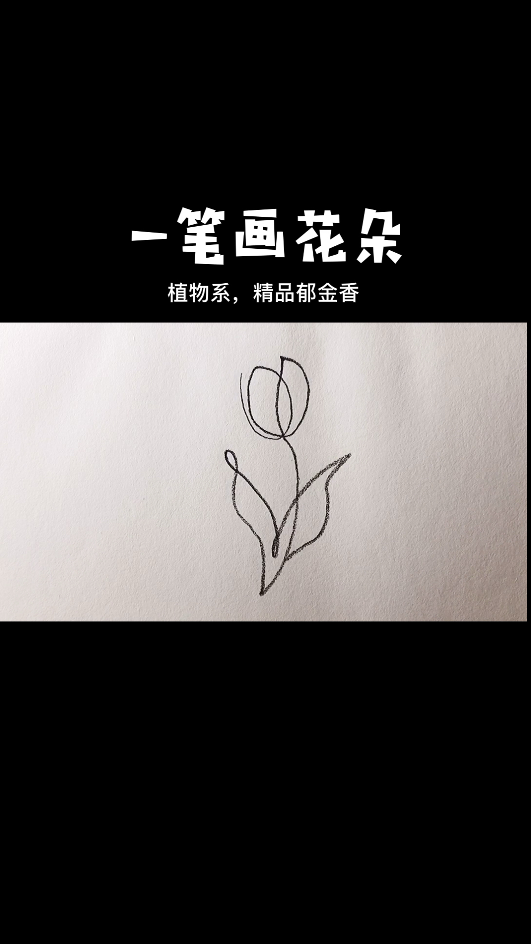 #画画原来如此简单#一笔画郁金香简笔画。