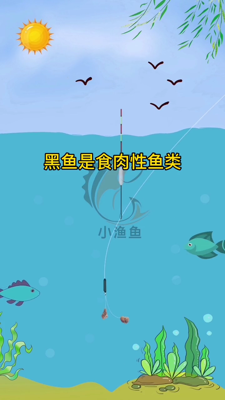 钓黑鱼用什么鱼饵