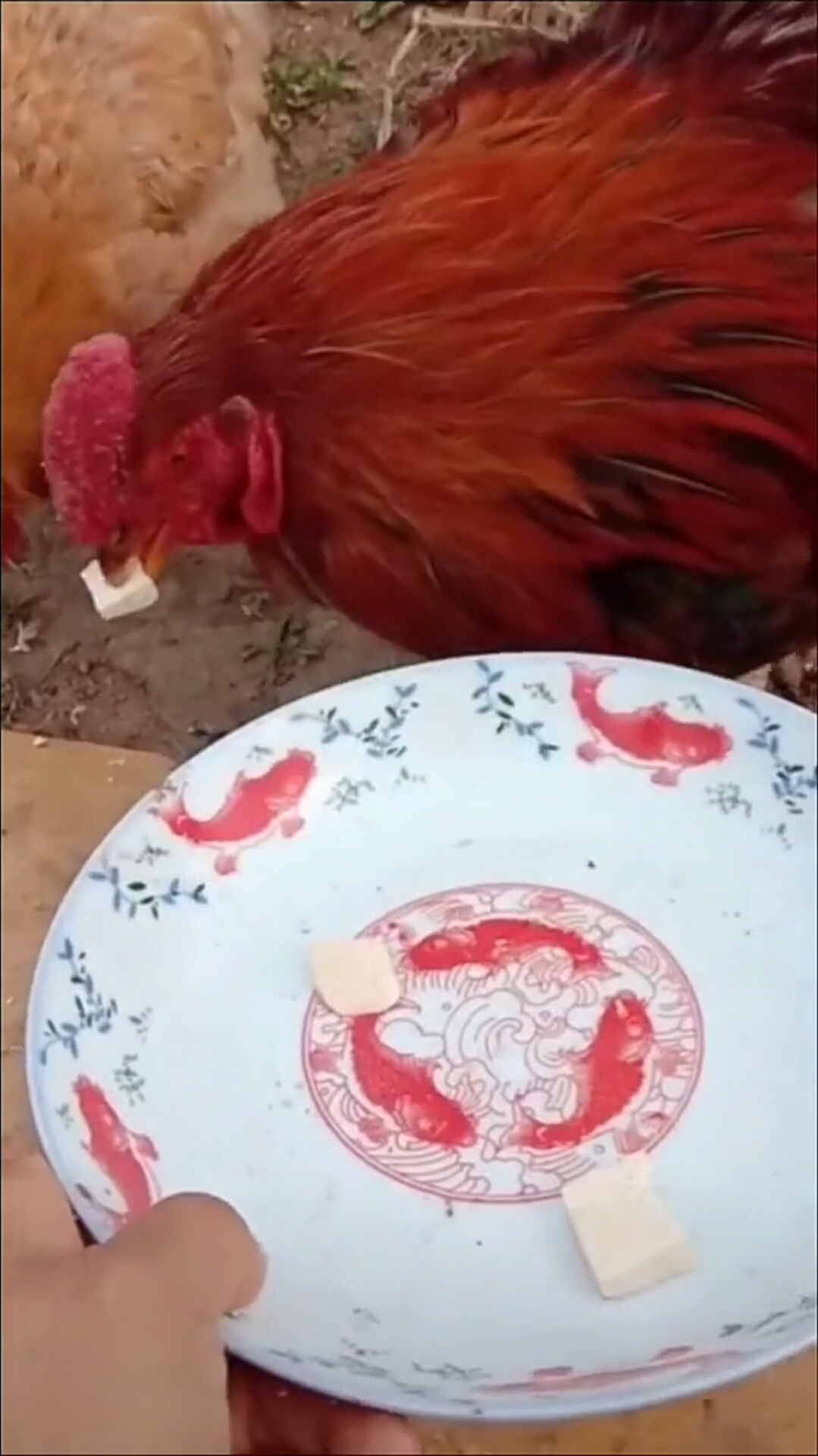 这应该是婚前,婚后绝不是这样