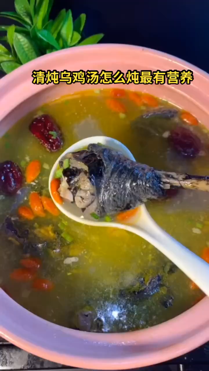 清炖乌鸡汤怎么炖最有营养