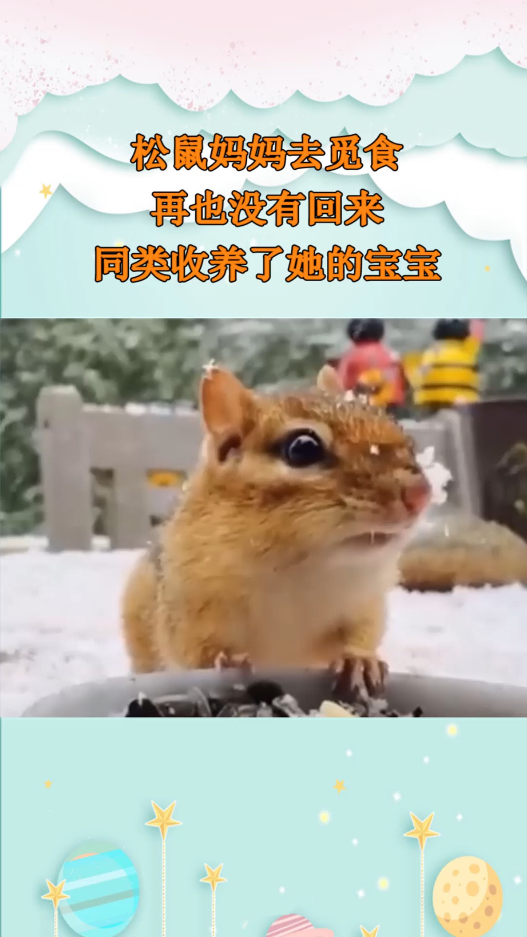 #我要上热门#松鼠妈妈去觅食,再也没有回来,同类收养了她的宝宝!