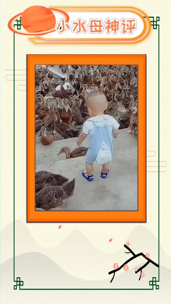 #搞笑视频#看这些小鸭子