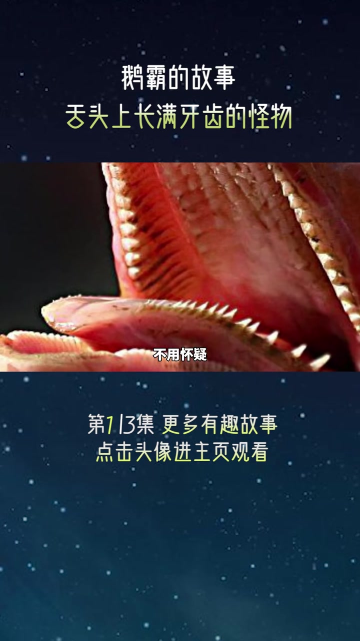 宁被狗咬不被鹅拧,舌头上都是牙齿的怪物,老虎金刚都要绕着走