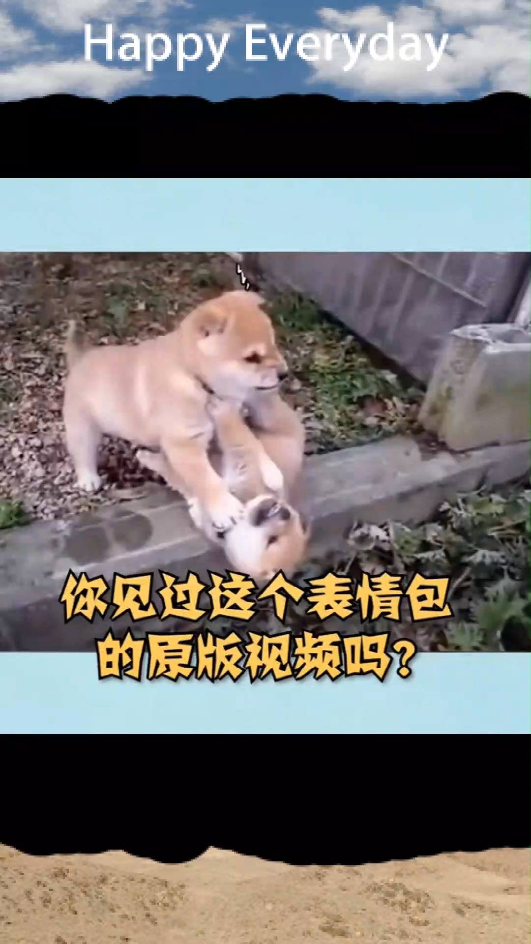 奶凶奶凶的小奶狗