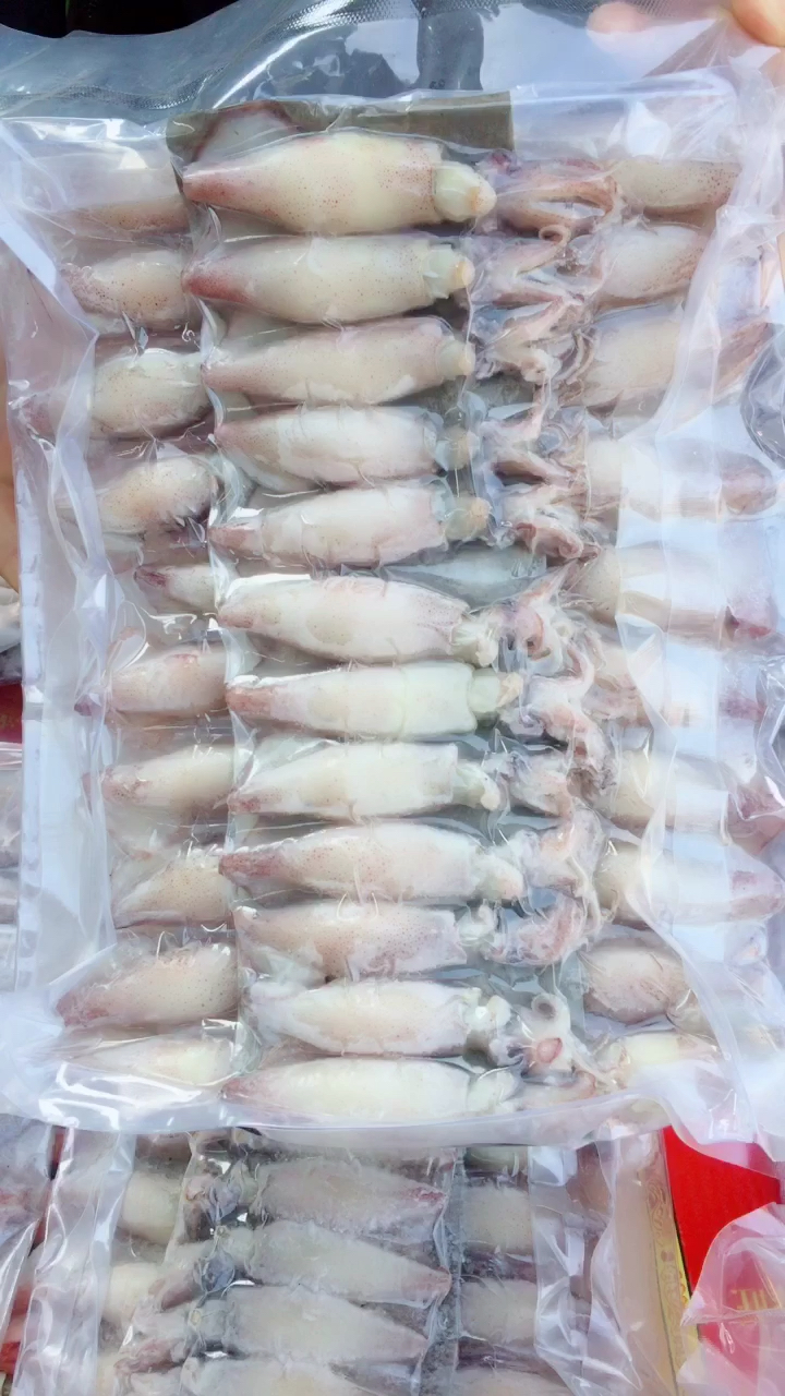 餐桌上的美食带籽海兔