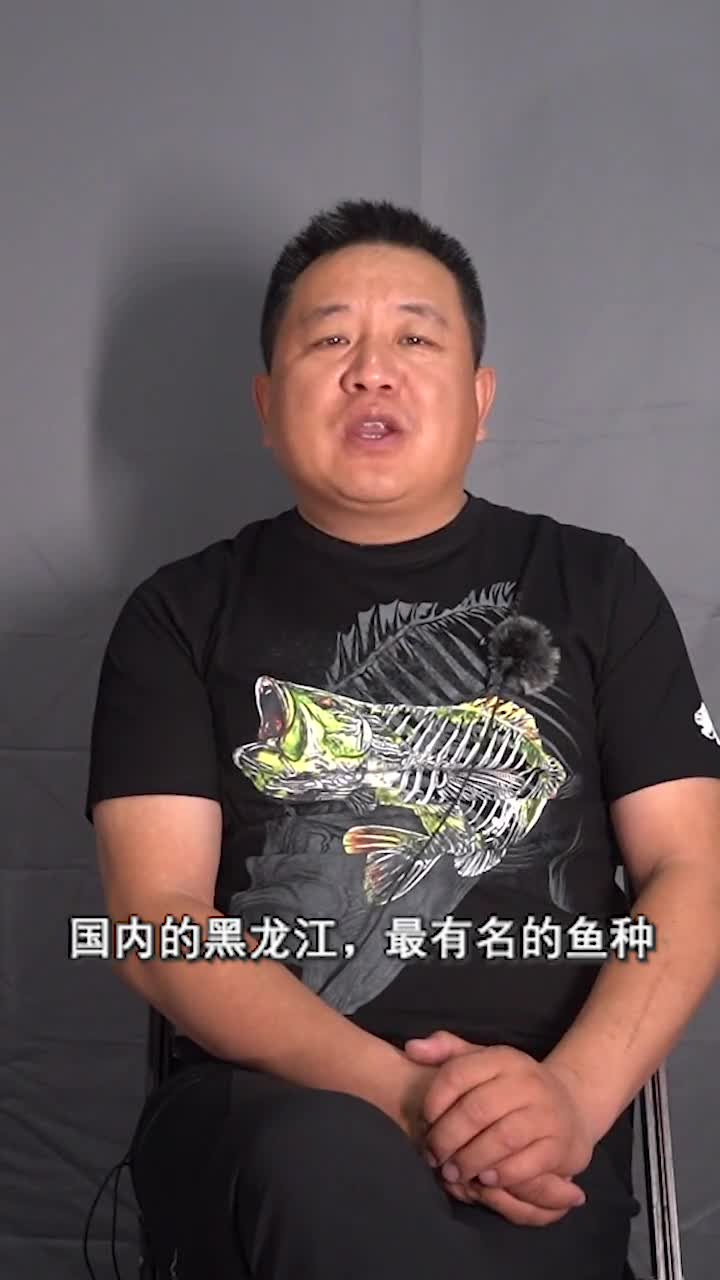 鳇鱼和鲟鱼有何区别?这两种有意思的鱼种,鲟鱼的黑子鱼籽比黄金还贵?我去俄罗斯尼古拉城,立志