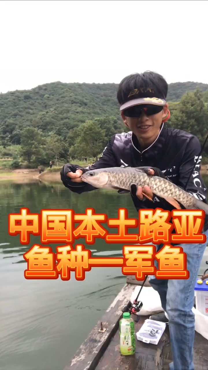 这个荡抛轨迹帅不?路亚中国本土鱼种—军鱼