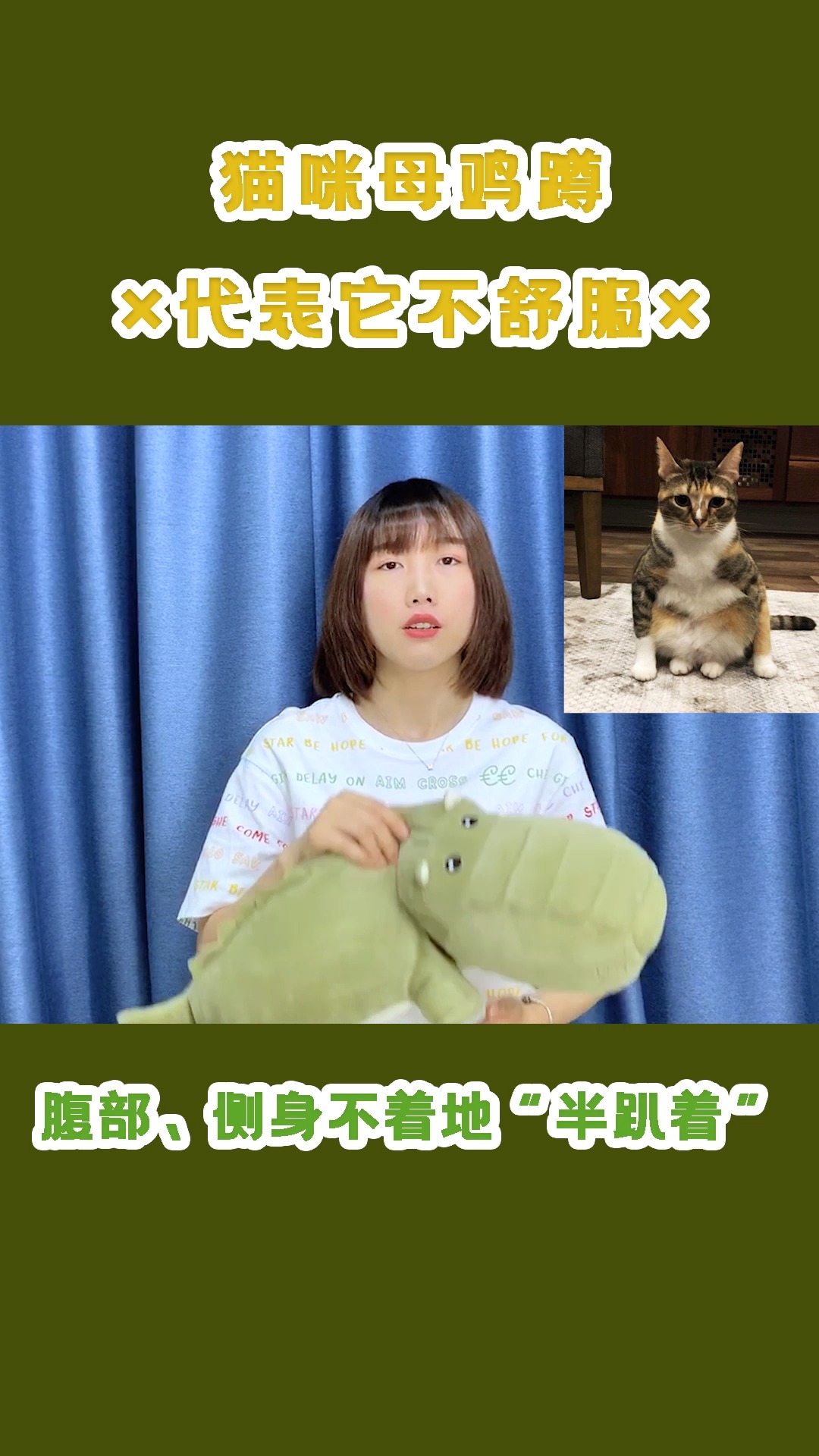 #猫#猫咪突然频繁母鸡蹲,可能是不舒服的症状哦!
