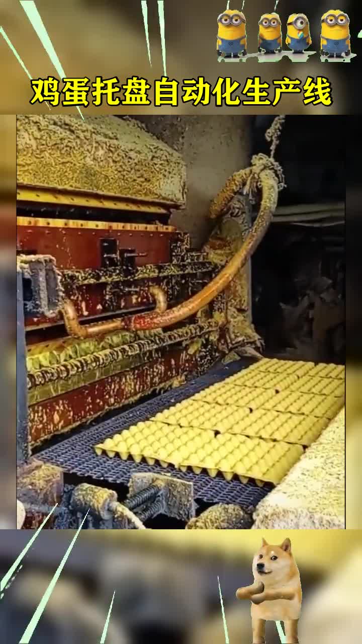 #我要上热门#鸡蛋托盘自动化生产线