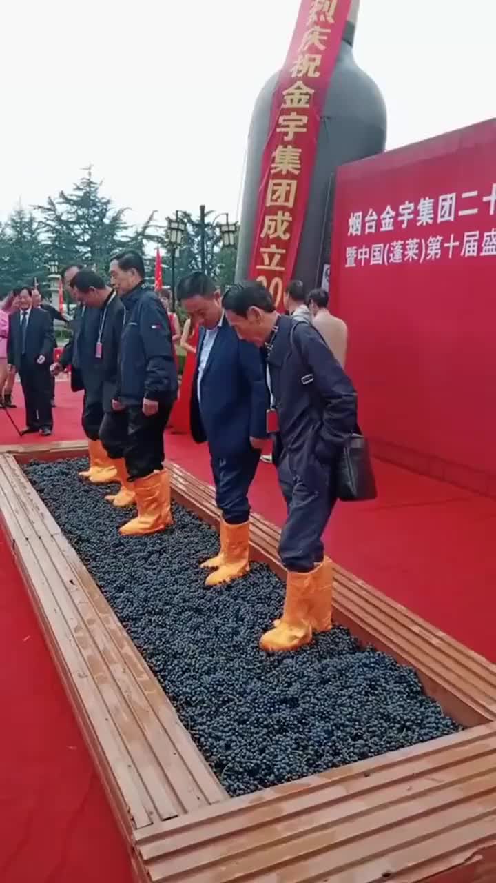 #我要上热门#醇香的葡萄酒,都是这样踩出来的,看完都不敢喝了!