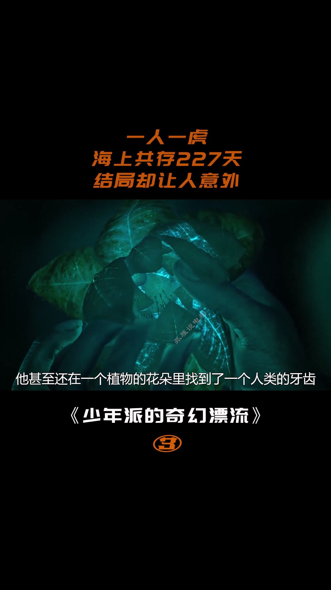 少年派的奇幻漂流(三)6/15#电影解说
