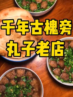 焦作有名的丸子店之一,标志就是门口的这颗千年古树,不少人大老远跑来呢#舌尖上的焦作 #焦作