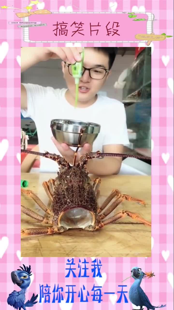 小伙直播生吃澳洲大龙虾,这吃法可真是够土豪的,你们有吃过吗,搞笑视频
