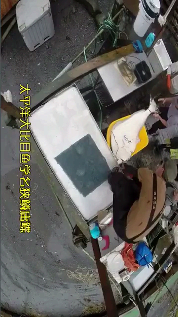 #贴秋膘#比目鱼