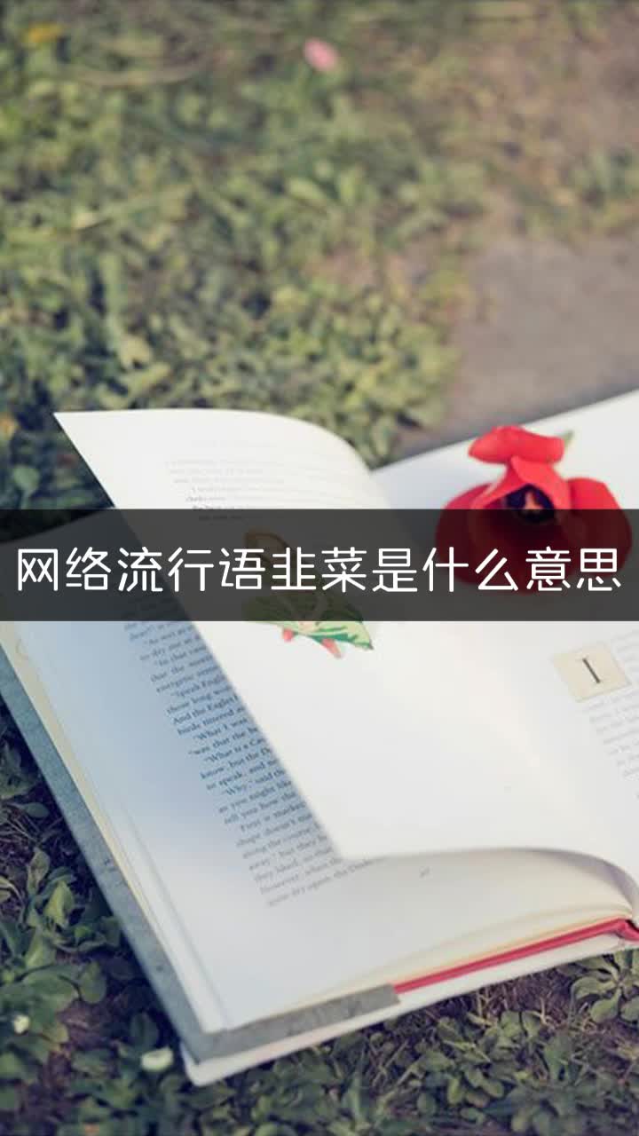 网络流行语韭菜是什么意思