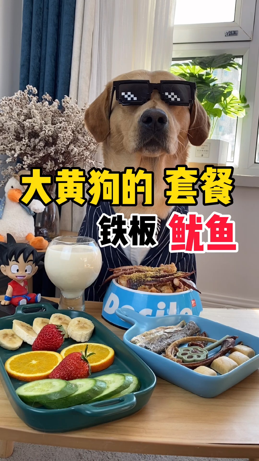 #我家萌宠成精了#鱿鱼太香了