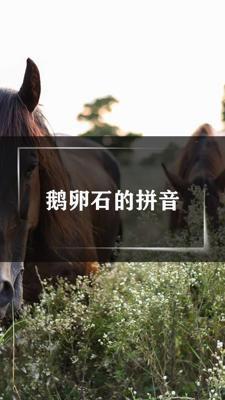 鹅卵石的拼音