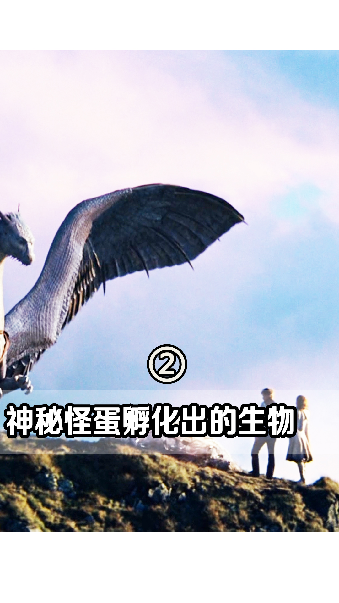 #影视解说#骑着龙是什么感觉