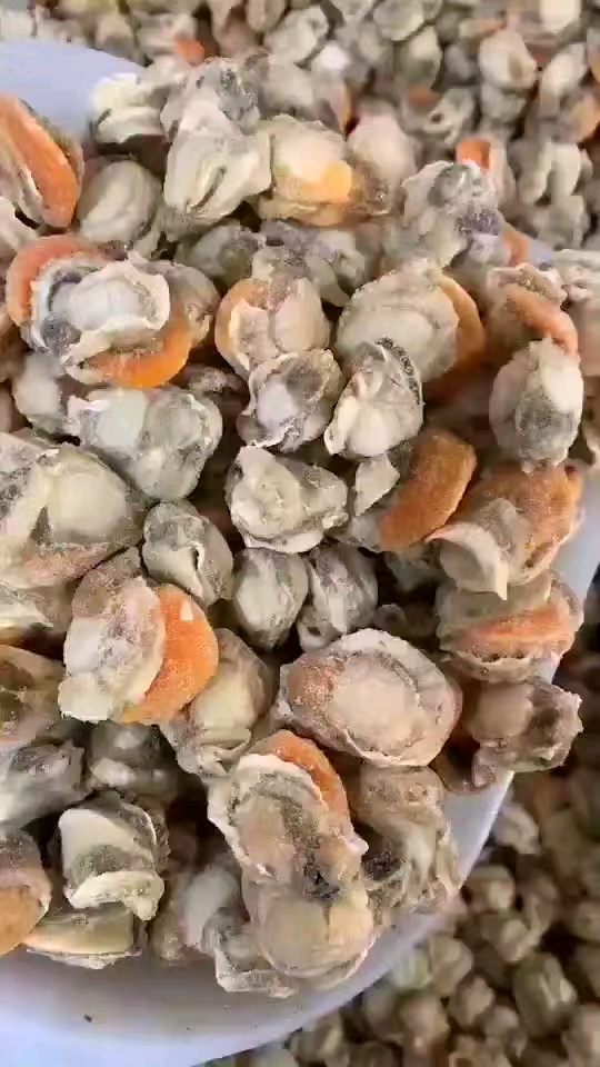 扇贝肉 