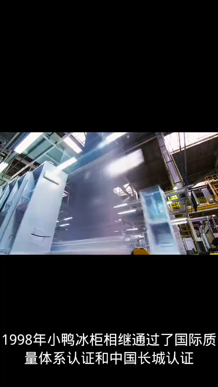 小鸭牌冰箱是杂牌么