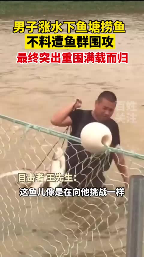 男子涨水下鱼塘捞鱼,遭群鱼夹击侧脸躲避!最终成功“突出重围”!