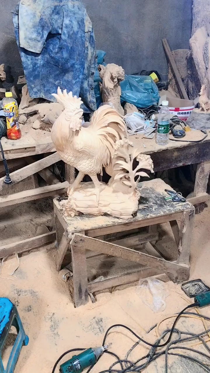 还记得当年的鸡冠花吗?