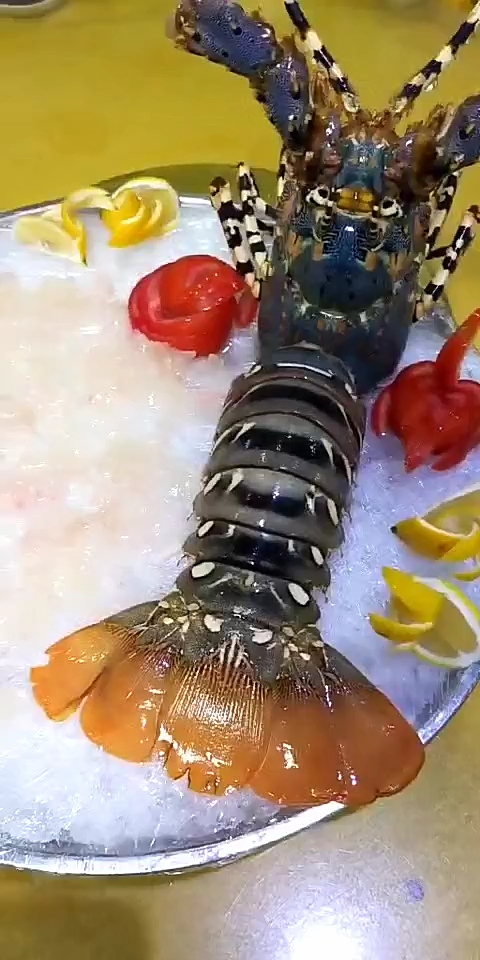 点我头像有惊喜哦