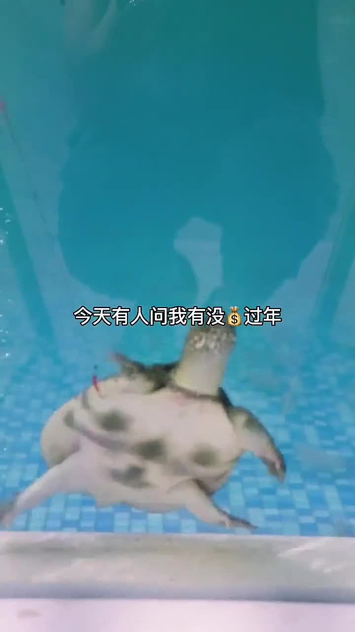 嘻虾室内钓虾馆Dada·佛山