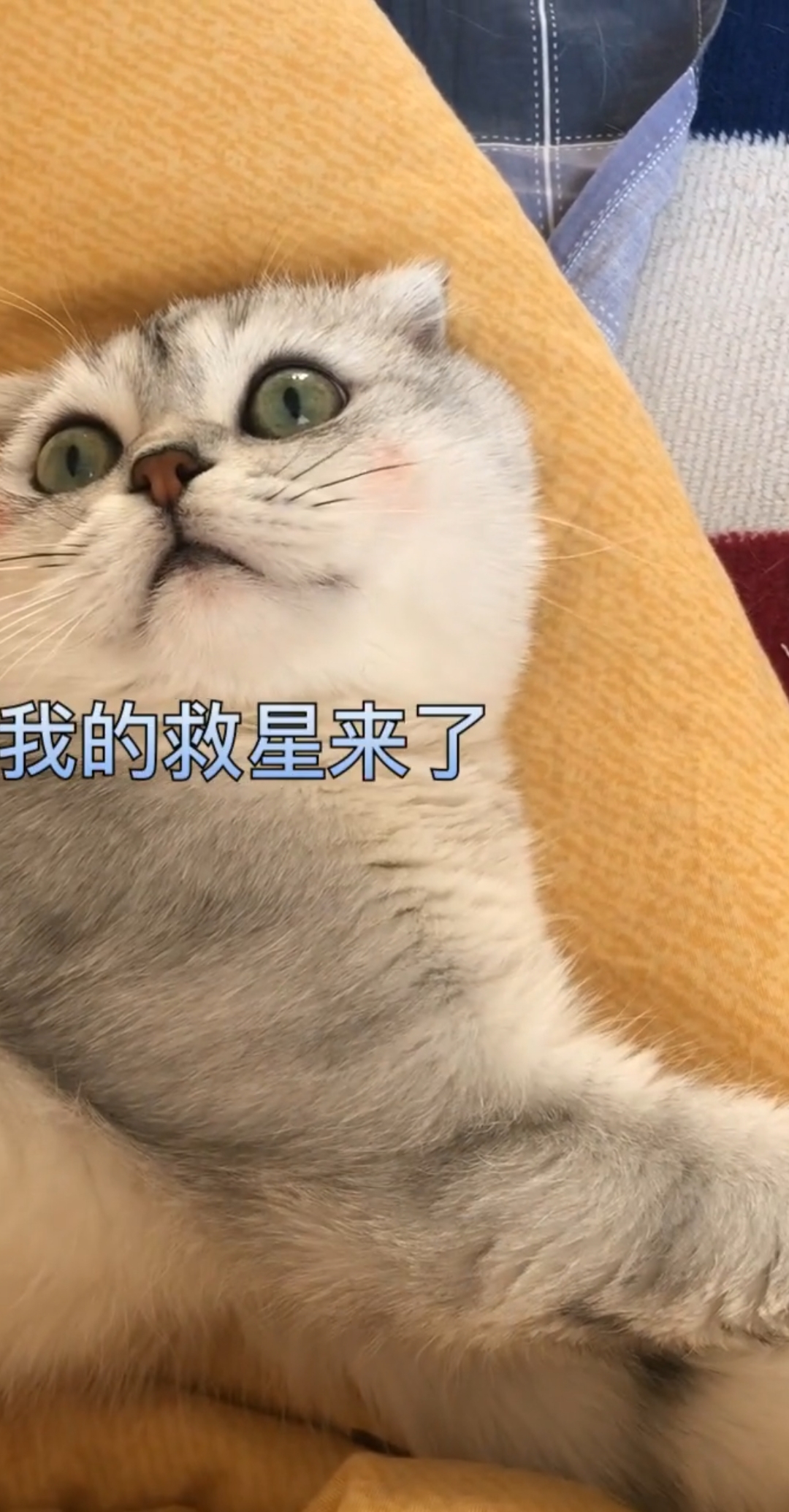 #嘴角向上笑一个吧#就是行走的表情包。