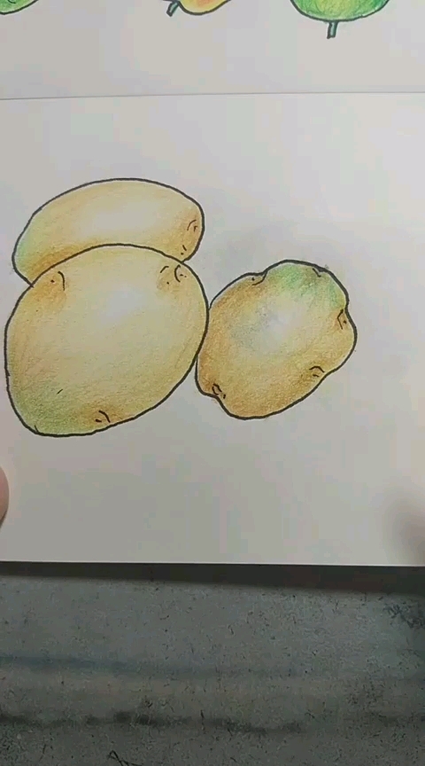 简笔画土豆