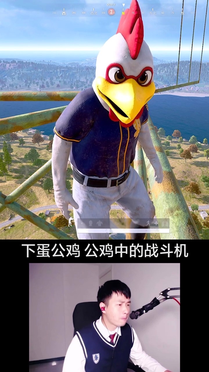 下蛋公鸡公鸡中的战斗机欧耶