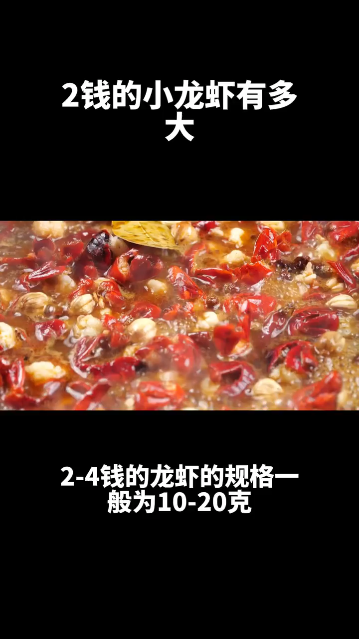 2钱的小龙虾有多大