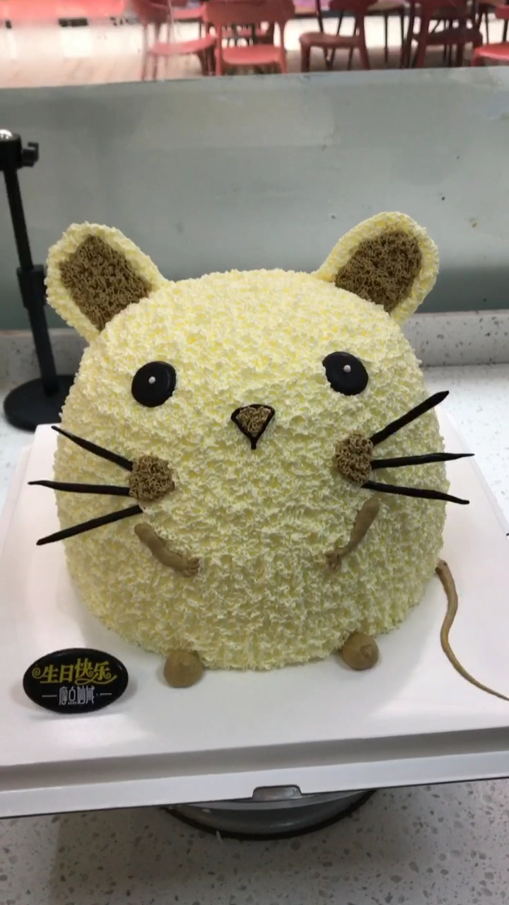 有属鼠的吗?你们属什么?