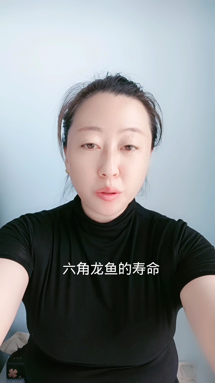 六角龙鱼的寿命?