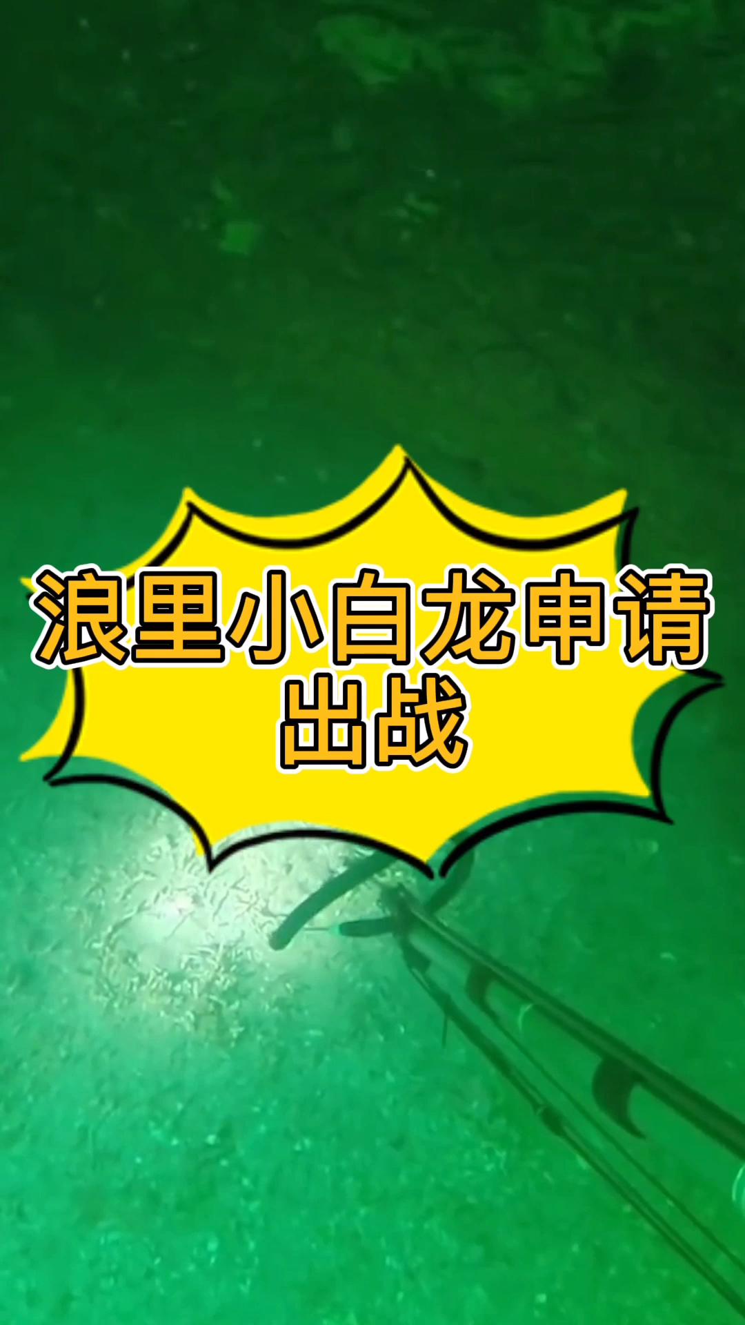 欢迎来到德莱联盟之浪里小白龙,叉上几条新鲜的菱鲆鱼,刺身烹饪后续奉上