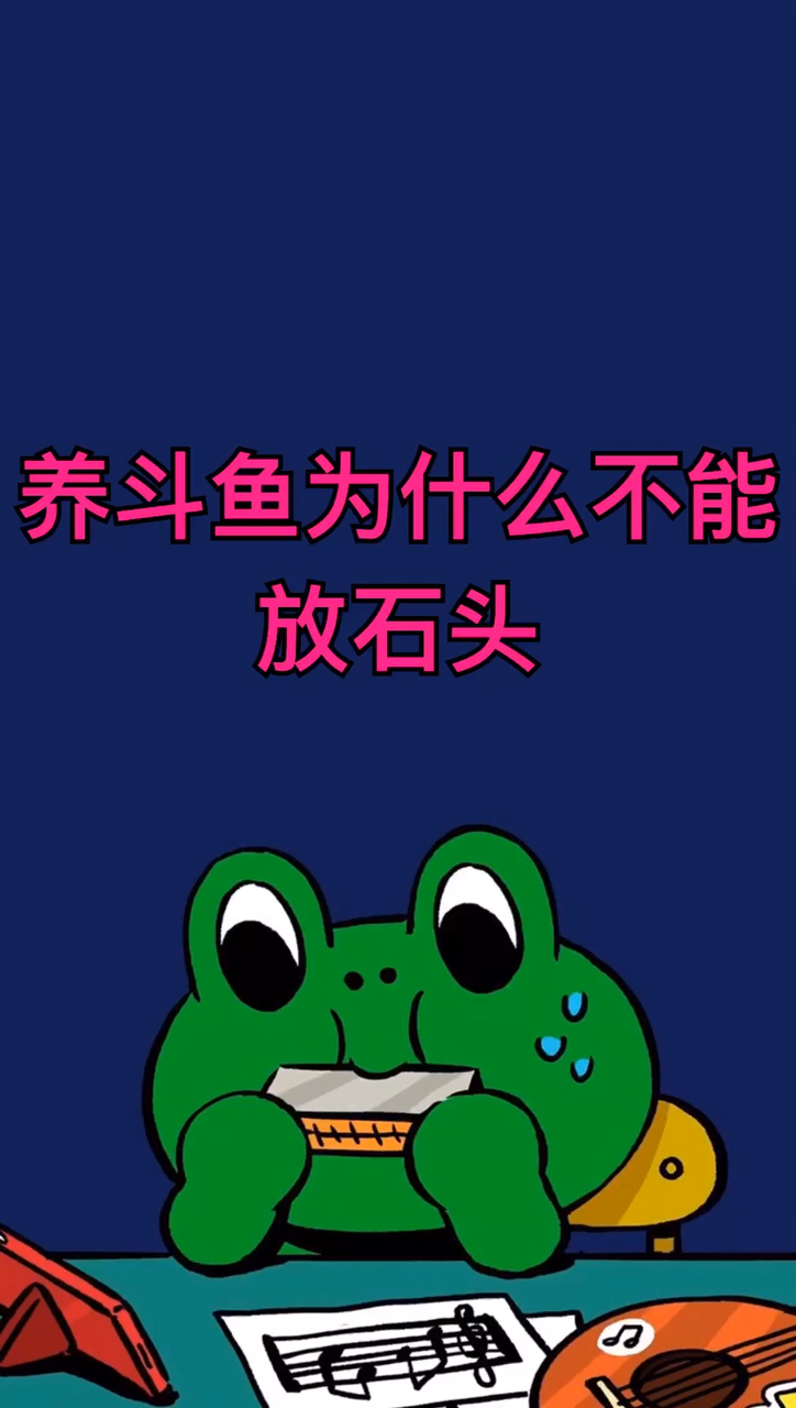 养斗鱼为什么不能放石头