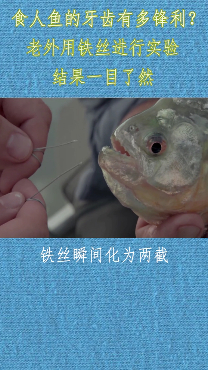 还好没上手 不然就废了