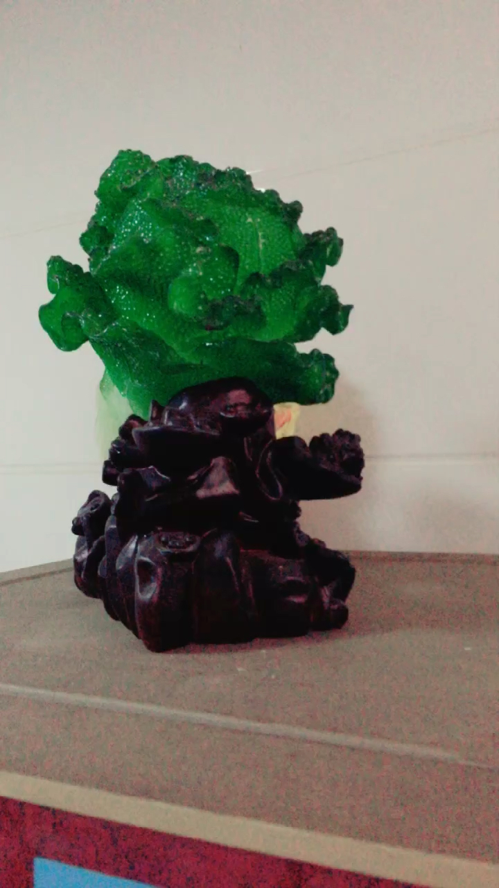 听说这大白菜招财,试试