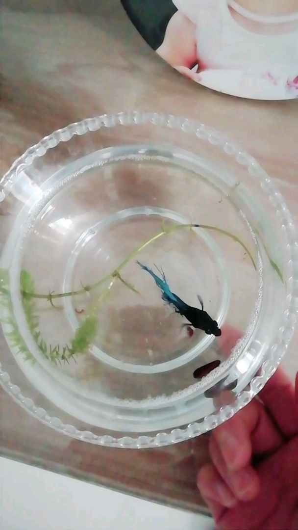 分享视频
