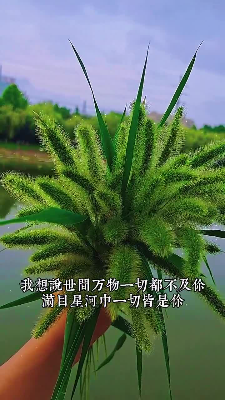 我养了只小猪,但我今天发现它不见了,我找了好久都没找到,最后才发现那只傻猪正在读这段文案,