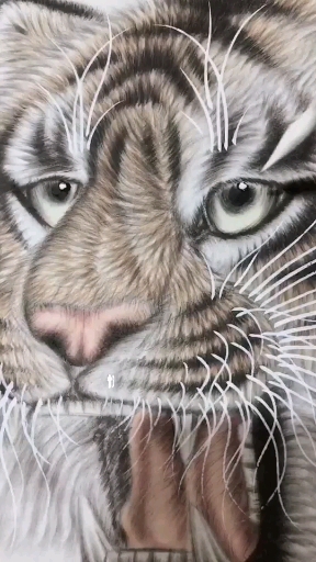 什么是纯手绘国画