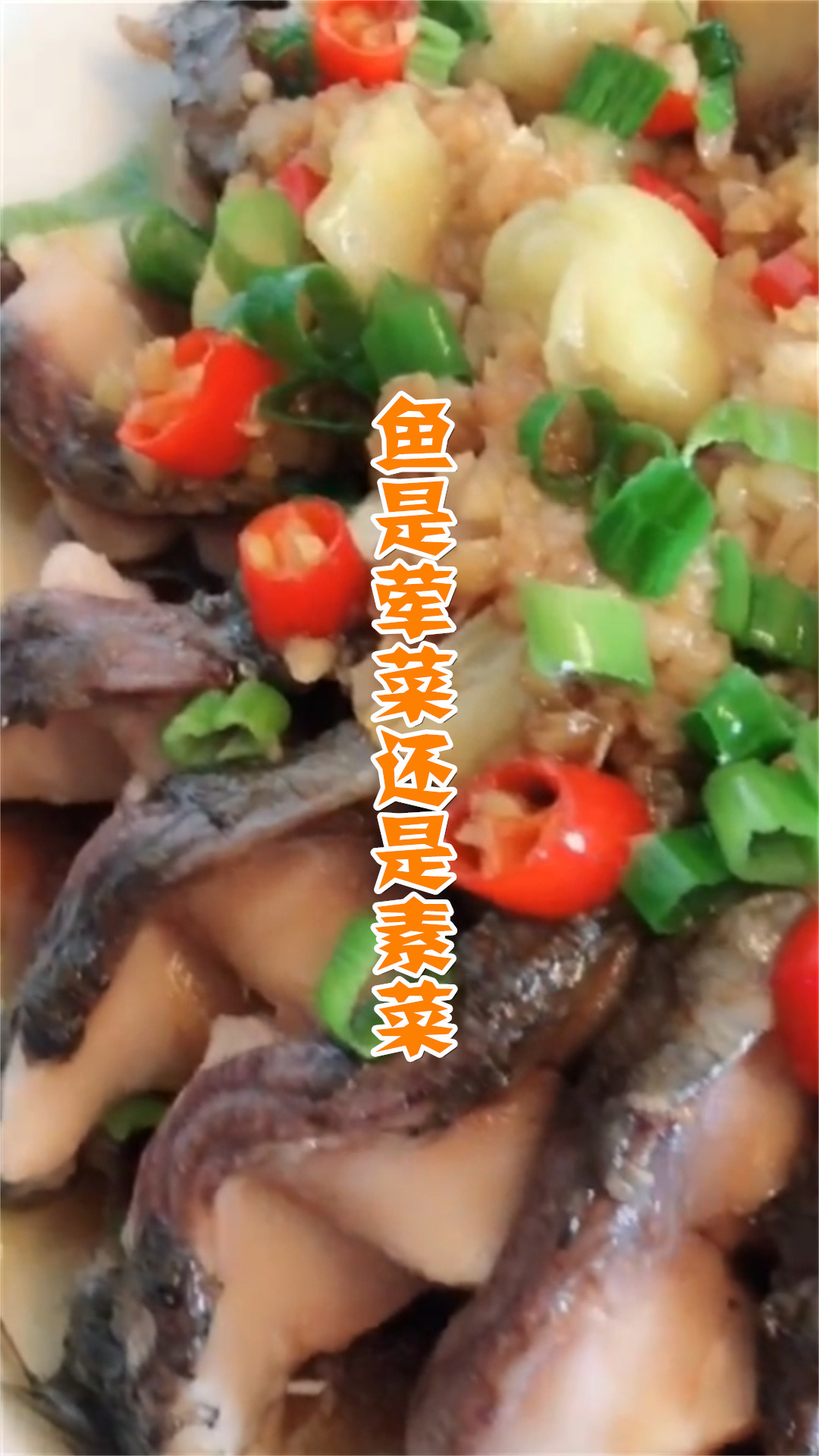 鱼是荤菜还是素菜