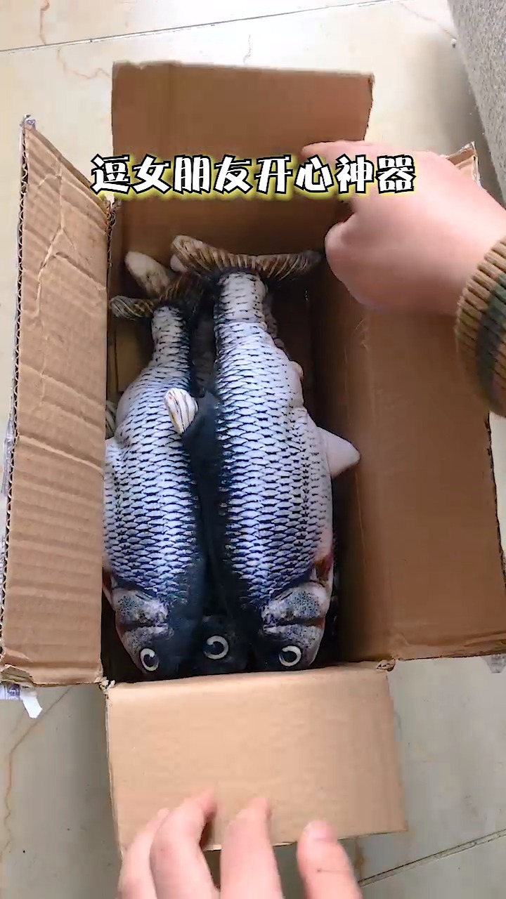 仿真电动鱼,同事很喜欢,嘿嘿