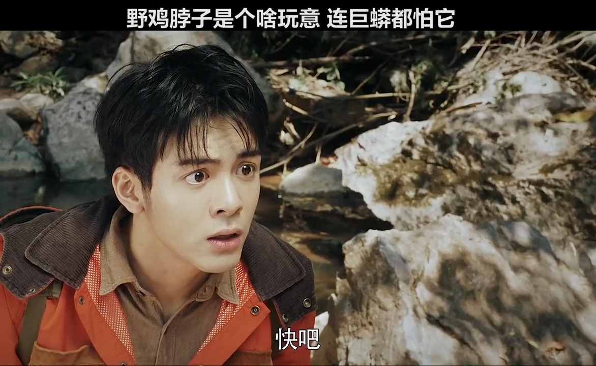 #精彩影视#鸡脖子到底是个什么东西,连巨蟒都害怕它